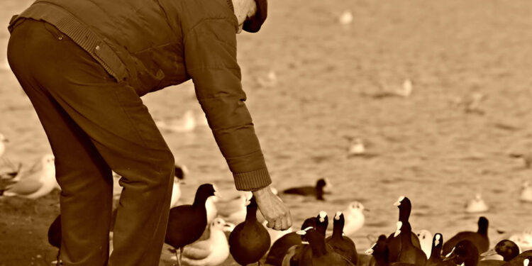 Grójec: Darmowe szczepienia przeciw grypie dla osób powyżej 60 roku życia