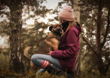 Radom: Ruszyła IV Mikołajkowa Zbiórka dla zwierząt ze schroniska