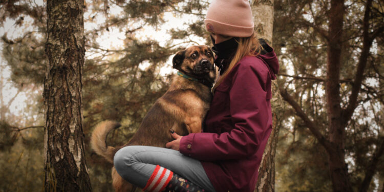 Radom: Ruszyła IV Mikołajkowa Zbiórka dla zwierząt ze schroniska