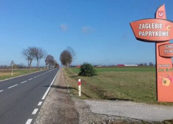 Powiat przysuski: Laury za kadry