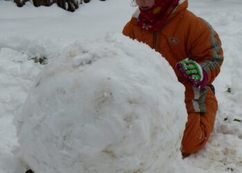 Organizujesz półkolonie w ferie zimowe? Sprawdź wytyczne MEN, MZ i GIS!