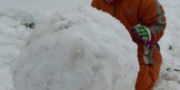 Organizujesz półkolonie w ferie zimowe? Sprawdź wytyczne MEN, MZ i GIS!