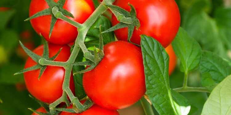 Powiat kozienicki: 300 miejsc pracy na Nowy Rok!