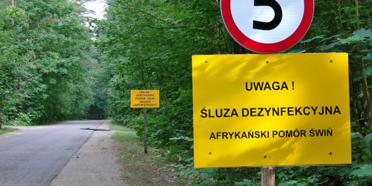 Radomskie: Woda i świnie