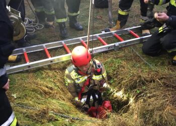 Powiat lipski: Akcja strażacka: wyciągnęli psa ze studni!