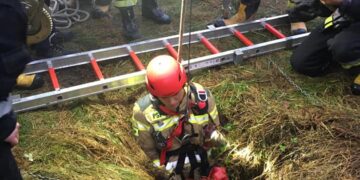 Powiat lipski: Akcja strażacka: wyciągnęli psa ze studni!