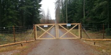 Płot w środku lasu