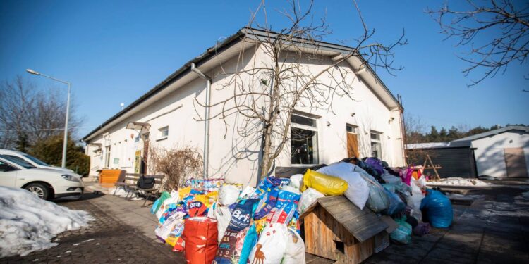 Radom: 800 kg karmy dla Schroniska!