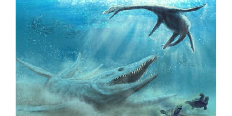 Powiat radomski: „Jurassica XV”