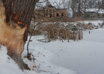 Powiat radomski: Obiektywem do sukcesu