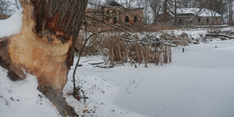 Powiat radomski: Obiektywem do sukcesu