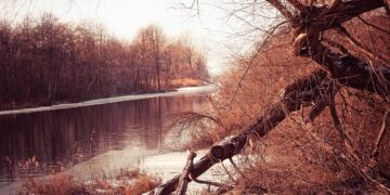 Powiat białobrzeski: Pilica już płynie