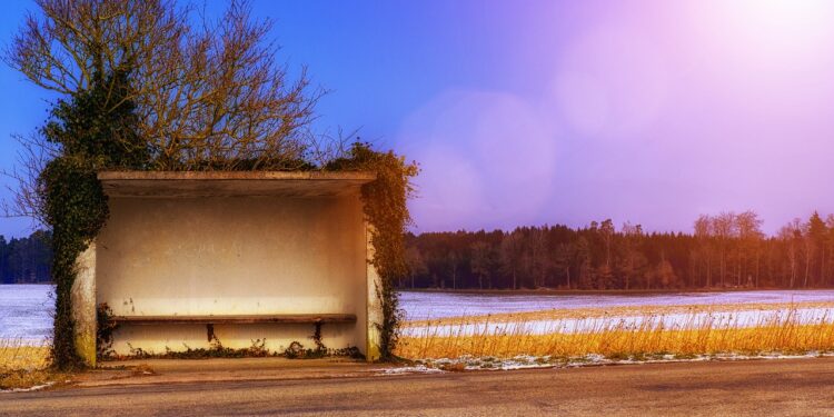 Powiat lipski: 8 kursów autobusowych