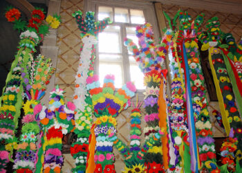 Radomskie: Niedziela Palmowa