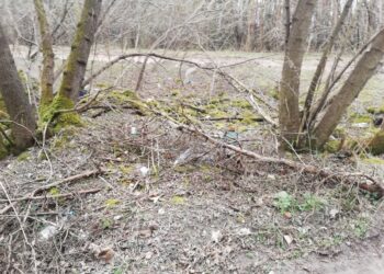 „Posprzątajmy Radom” ze Strażą Miejską!