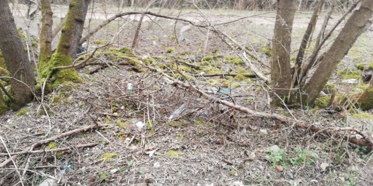 „Posprzątajmy Radom” ze Strażą Miejską!