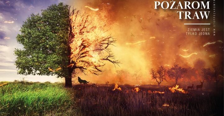 Region Radomski: STOP wypalaniu traw!