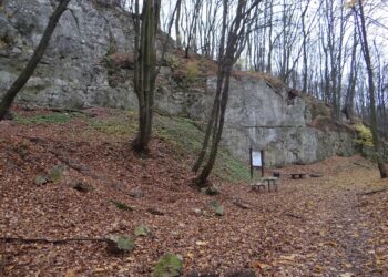 Powiat białobrzeski: Fort Pacew