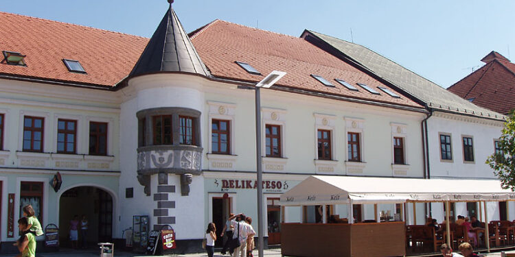 Powiat zwoleński: Aktywny samorząd