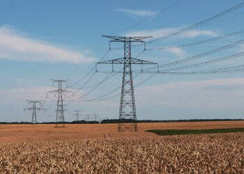 Radomskie: Niebezpieczna włóknina