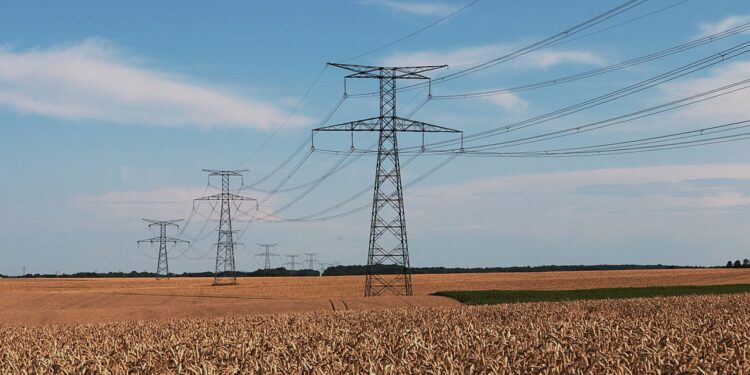 Radomskie: Niebezpieczna włóknina