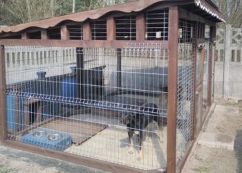 Powiat kozienicki: Nowy, tymczasowy dom dla bezdomniaków