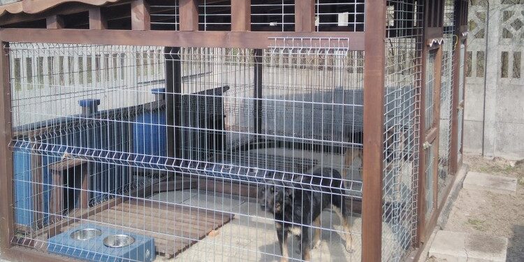 Powiat kozienicki: Nowy, tymczasowy dom dla bezdomniaków