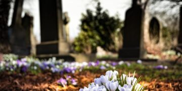 Radom: Udało się odzyskać blisko milion!