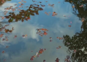 Powiat zwoleński: Tragedia w Sycynie