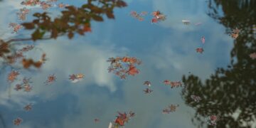 Powiat zwoleński: Tragedia w Sycynie