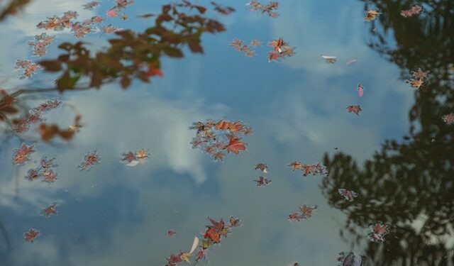 Powiat zwoleński: Tragedia w Sycynie