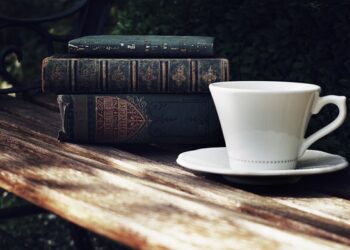 Radom: Ławeczki literackie i biblioteczki plenerowe