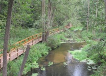 Królewskie Źródła: Nadchodzą zmiany!