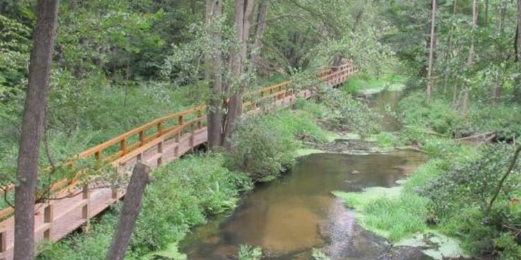 Królewskie Źródła: Nadchodzą zmiany!