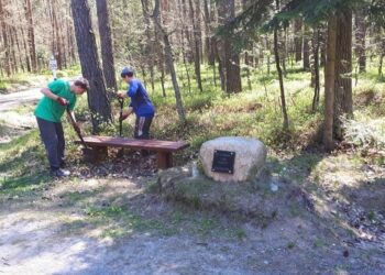 Puszcza Kozienicka: Wytchnienie dla gości “Królewskiego Gościńca”!