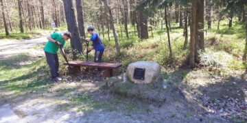 Puszcza Kozienicka: Wytchnienie dla gości “Królewskiego Gościńca”!