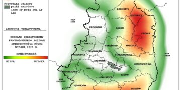 Region Radomski: Uwaga! Zakaz wstępu do Lasu!