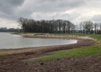 Radom: Zalew na Borkach pięknieje! Galeria zdjęć!