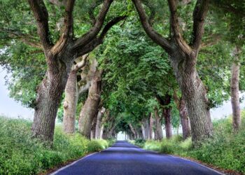 Powiat grójecki: Fifty-fifty