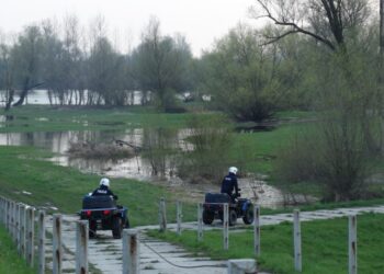 Radomskie: Poszukiwana, poszukiwany