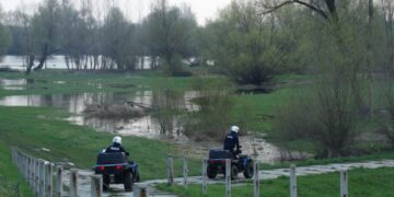 Radomskie: Poszukiwana, poszukiwany