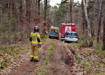 Powiat przysuski: Tragedia w lesie. Motocyklista zginął na miejscu.