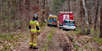 Powiat przysuski: Tragedia w lesie. Motocyklista zginął na miejscu.