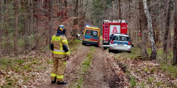 Powiat przysuski: Tragedia w lesie. Motocyklista zginął na miejscu.