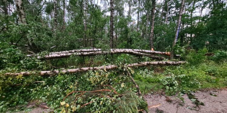 Region Radomski: Wiele zniszczeń po nawałnicach!