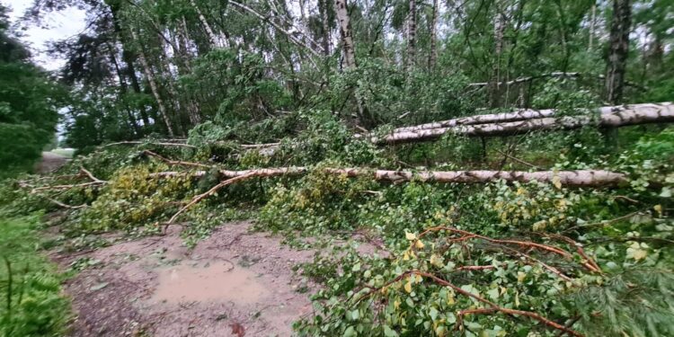Region Radomski: Wiele zniszczeń po nawałnicach!