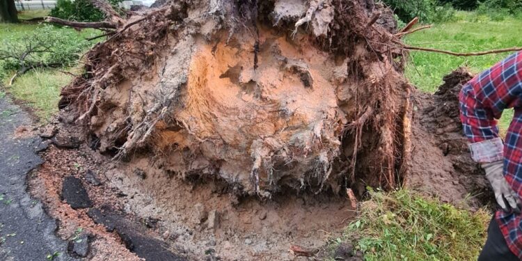 Region Radomski: Wiele zniszczeń po nawałnicach!