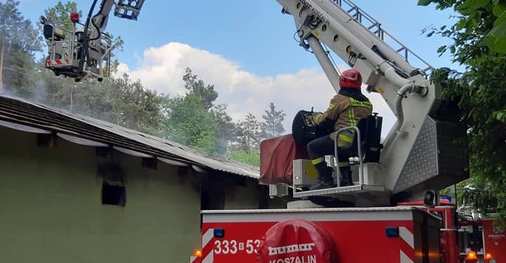 Powiat Radomski: Pożar chlewni w Jedlance Nowej – Galeria – Video