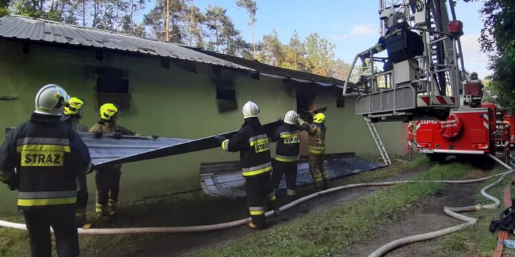 Powiat Radomski: Pożar chlewni w Jedlance Nowej – Galeria – Video