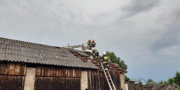 Powiat przysuski: Burza zerwała dachy, niszczyła tunele [Zdjęcia]